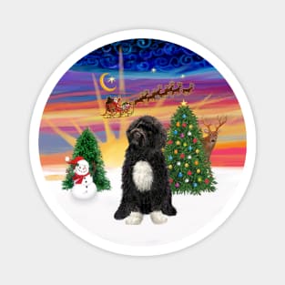 "Christmas Magic" with a Portuguese Water Dog (black-white bib/paws) Magnet